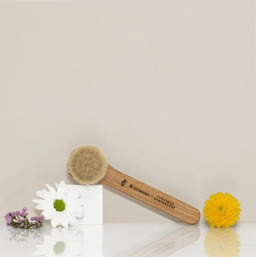 Skincare Province Apothecary Exfoliants | Daily Glow Facial Dry Brush