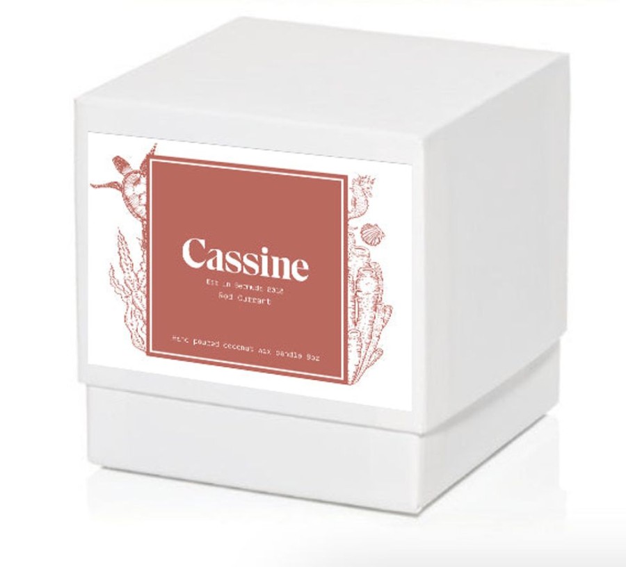 Fragrance Cassine | Cassine Candle